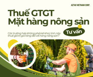 thue-gtgt-mat-hang-nong-san